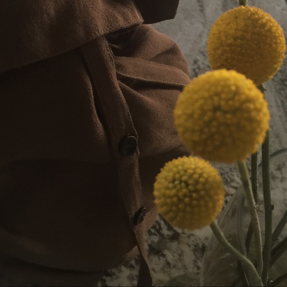 Ulla Johnson Freja suspender pants / overalls teak - Picture 6 of 7